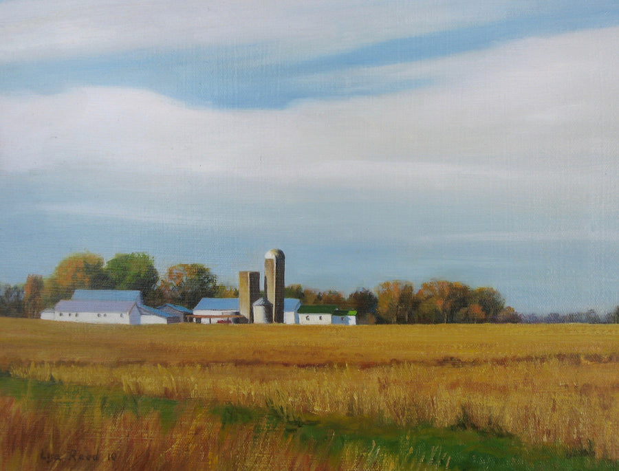 Across the Corn Fields     11 x 14